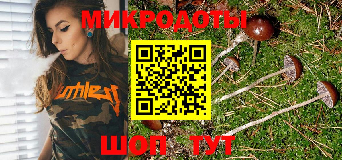 Галлюциногенные грибы Psilocybine cubensis Новочеркасск