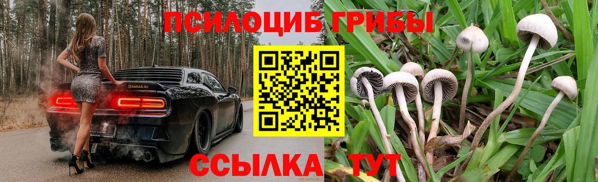 Новочеркасск  Псилоцибиновые грибы мухоморы  Вход с VPN  Галлюциногенные грибы мухоморы 